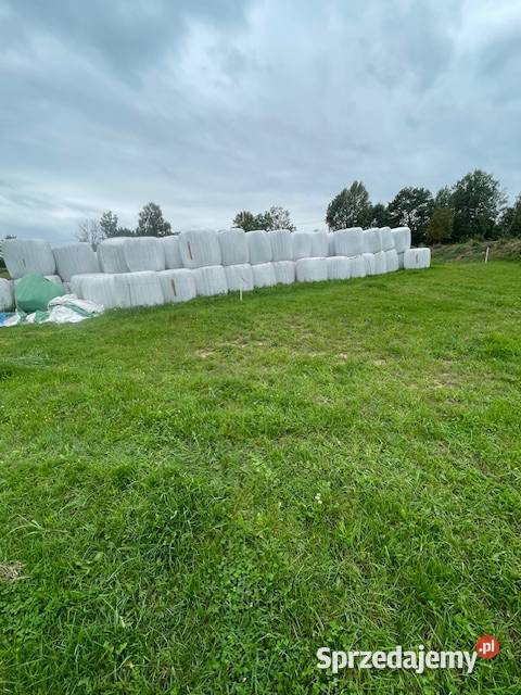 Baloty sianokiszonki Produkcja roślinna