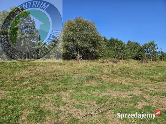 sprzedaży działki Mystków 9500m2 prąd