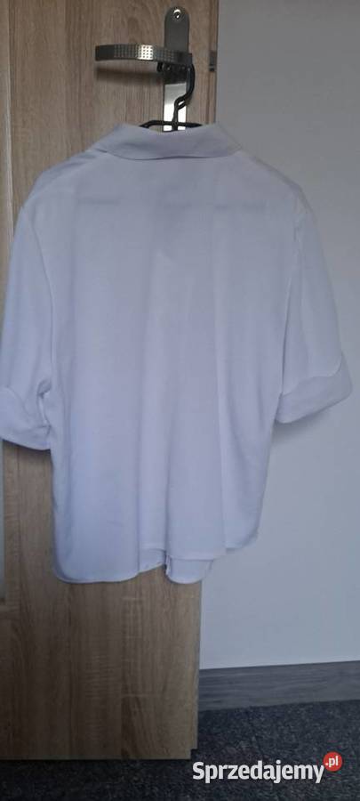 Koszula damska XL Kłoda