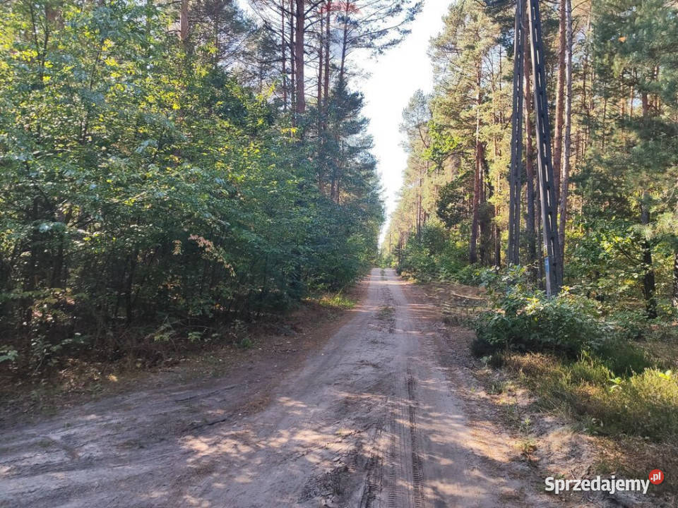 Na sprzedaż Działka Osiedle Wilga