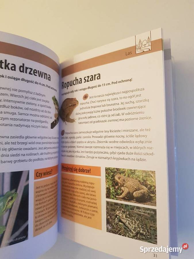 Jakie to zwierzę Mój pierwszy przewodnik Szczecin