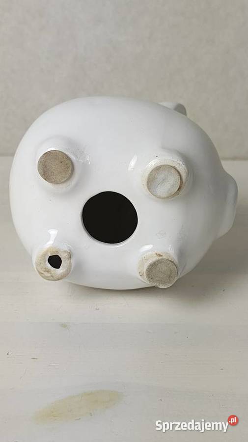 Świnka skarbonka Łódź