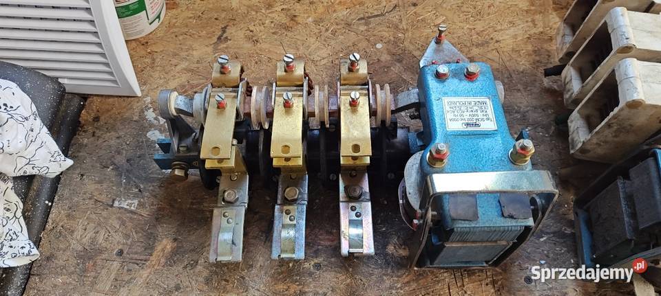 Sprzedam Styczniki mazowieckie