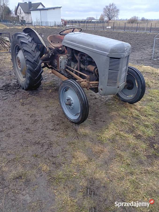 Sprzedam Fergusona TEA 20 w wielkopolskie