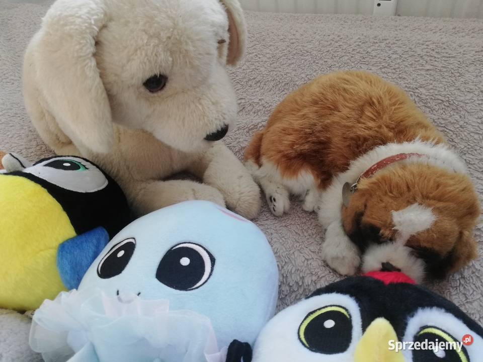 Maskotki z Biedronki różne pieski