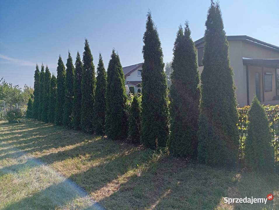 Sprzedam działkę Rodos Kutno