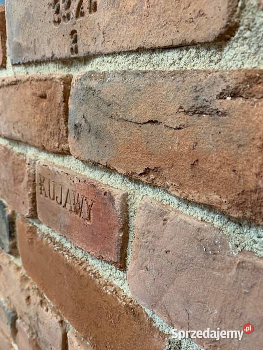 Dekor Lico Kujawskie Kujawy