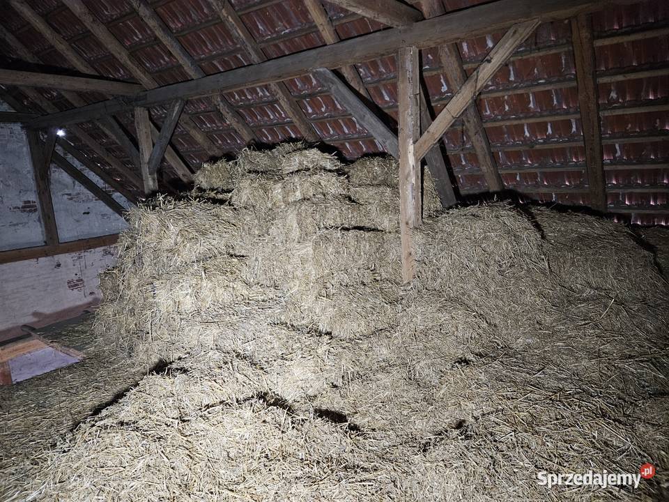 Oddam starą słomę Trawy, słoma Nowe Budkowice sprzedam