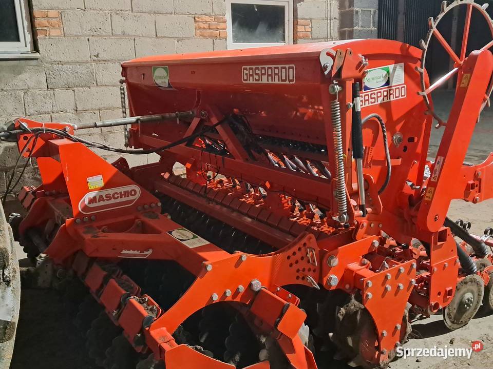 Siewnik gaspardo dama tależowy unia poznaniak