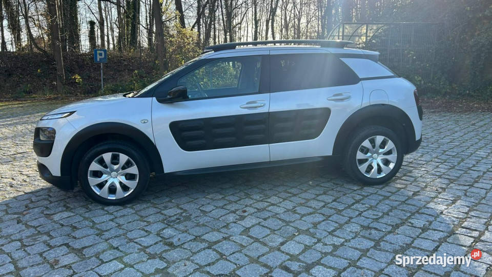 Citroen C4 Cactus I 2014 Van / Minibus