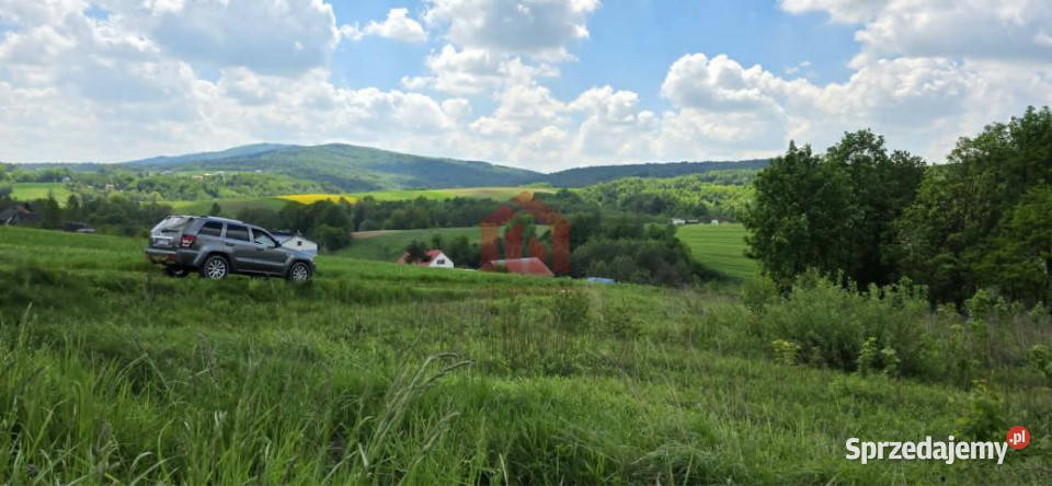 Działka 5200m2 Dębowa Sprzedaż
