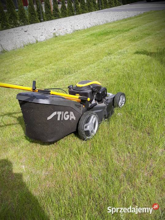 Usługi ogrodnicze Rawicz