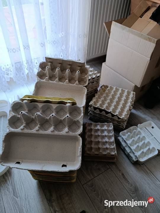wytłaczanki pojemniki na jajka 161 sztuk