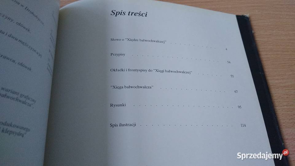 Xięga bałwochwalcza Bruno Schulz ISBN 8322324197 Gdańsk