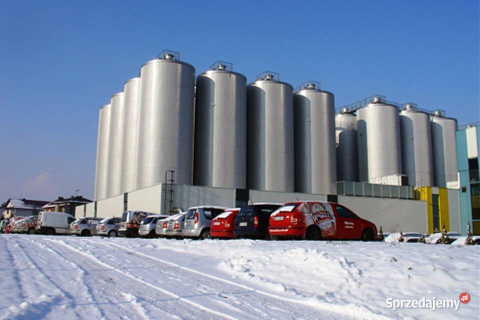 Cementy Białe Portland AALBORG WHITE CEM I 525 podkarpackie Rzeszów sprzedam