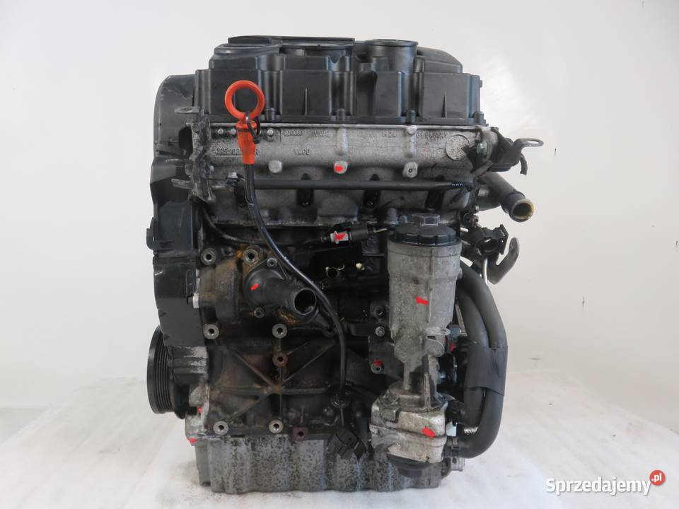 SILNIK AUDI A3 8P1 19 TDI 105 BLS osobowe