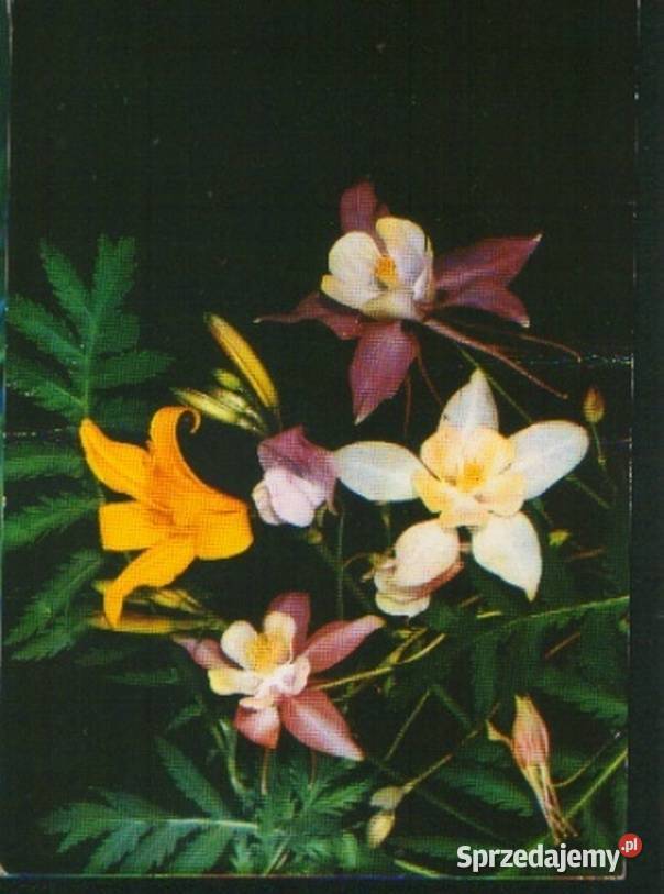 3 Kartki poczt temat Kwiaty z koresp Pocztówki i karty telefoniczne Gliwice sprzedam