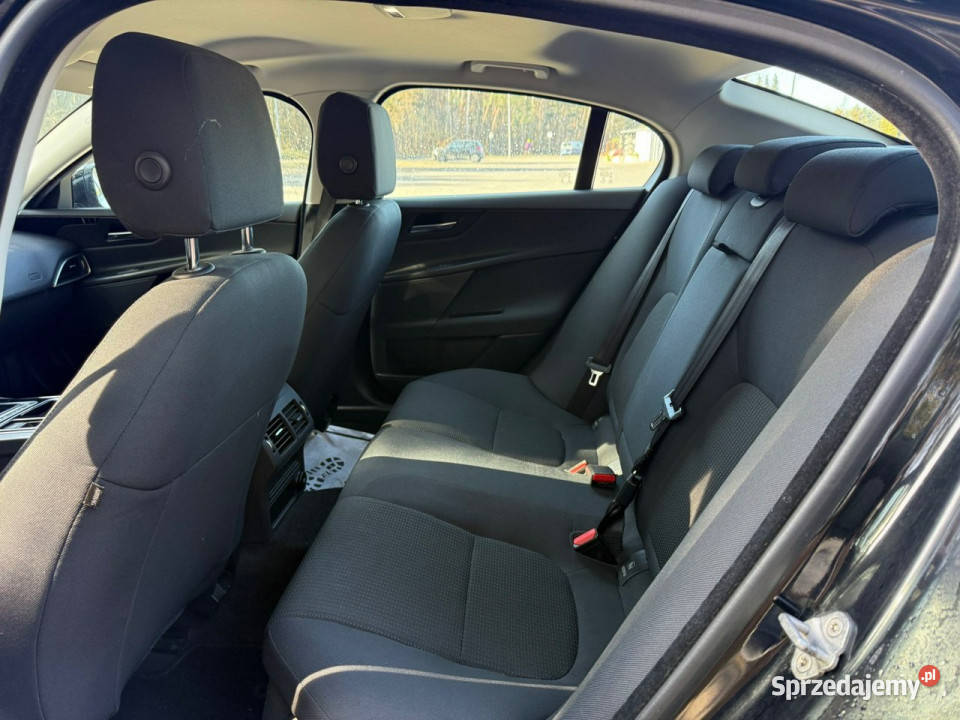 Jaguar XE 20 180 Navi Led Zarejestrowany w Przeźmierowo