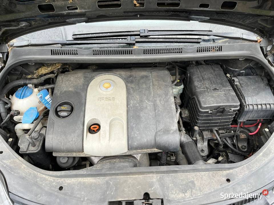 Volkswagen Golf plus 16 fsi