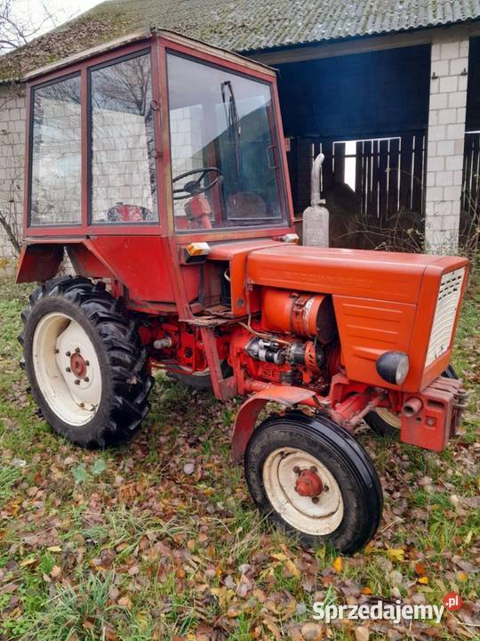 Wladimirec T25 Radzyń Podlaski