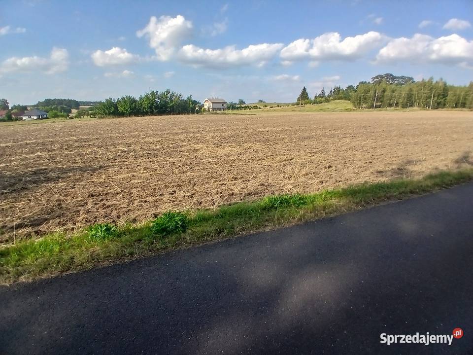 4 działki budowlane z WZ Koszary gm Sompolno