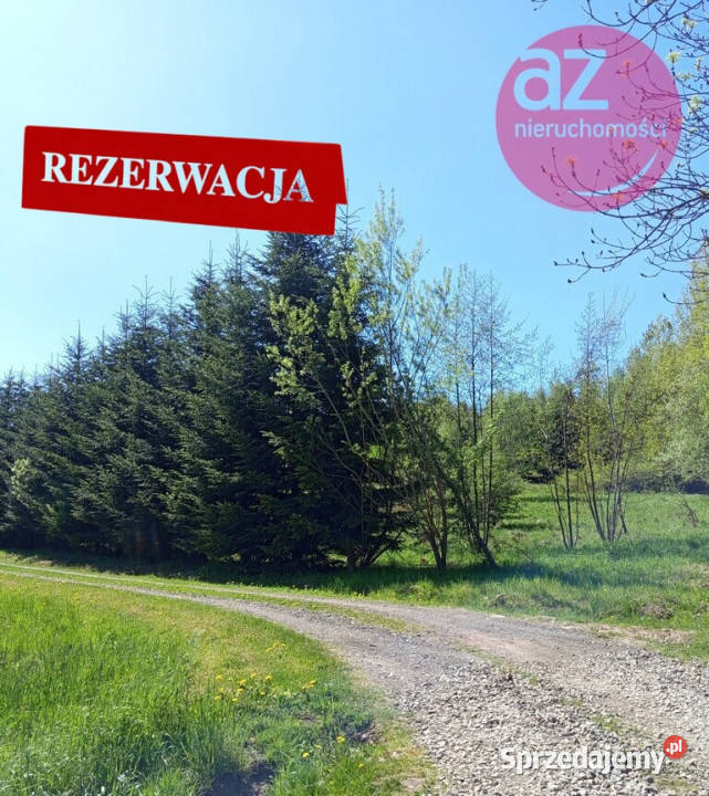 6 działek budowlanych w Stróżówce 24a Stróżówka sprzedam