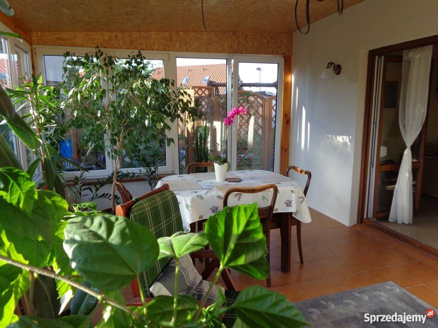 Sprzedam dom taras Wągrowiec