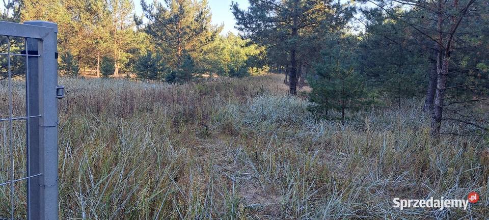 Sprzedam bezpośrednio działki budowlane KLEMPICZ Sprzedaż