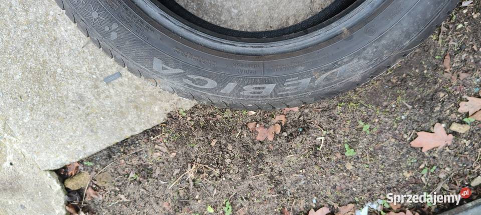 2x 1955515 opony całoroczne Dębica Nawigator 3 Pruszków