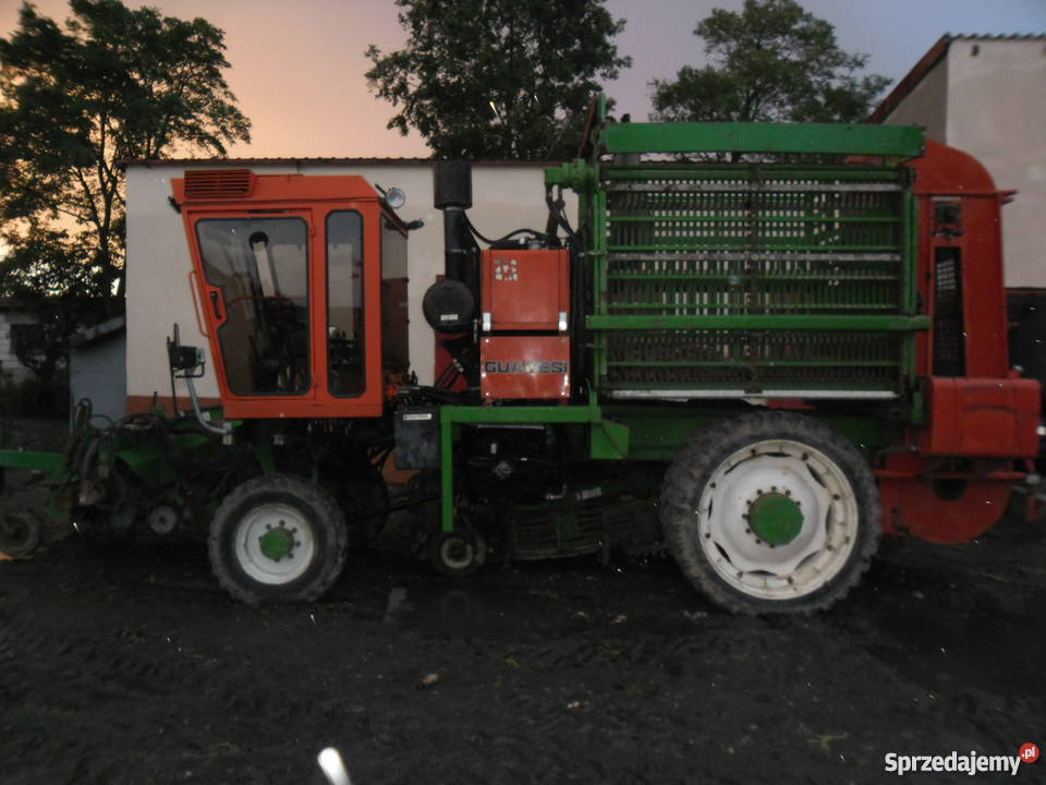 kombajn buraczany guaresi