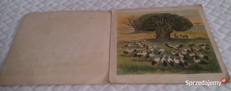 Roman Owidzki Bociany wracają Książka