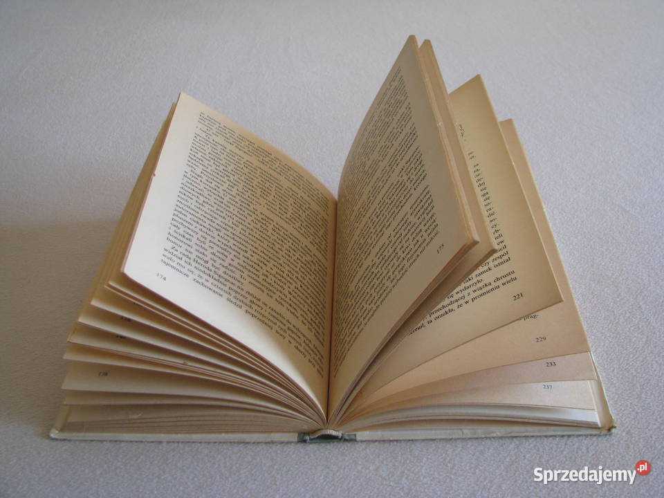 Kapitan Fracasse Teofil Gautier Brzegi