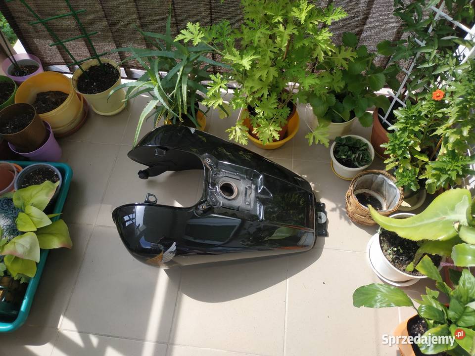 Zbiornik Bak Honda Shadow 1100 C 8586 Rzeszów