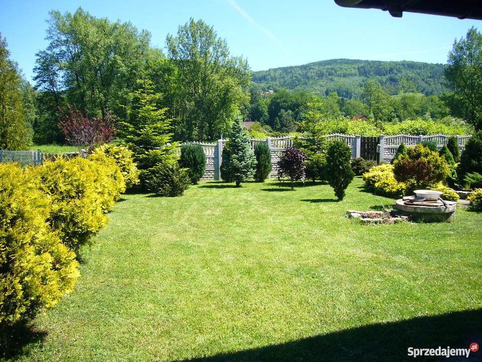 Brenna nieduży dom atrakcyjnie położony sprzedam