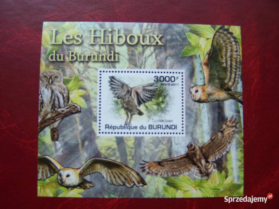 Burundi 2011 MNH Fauna Ptaki Sowy Filatelistyka Tychy