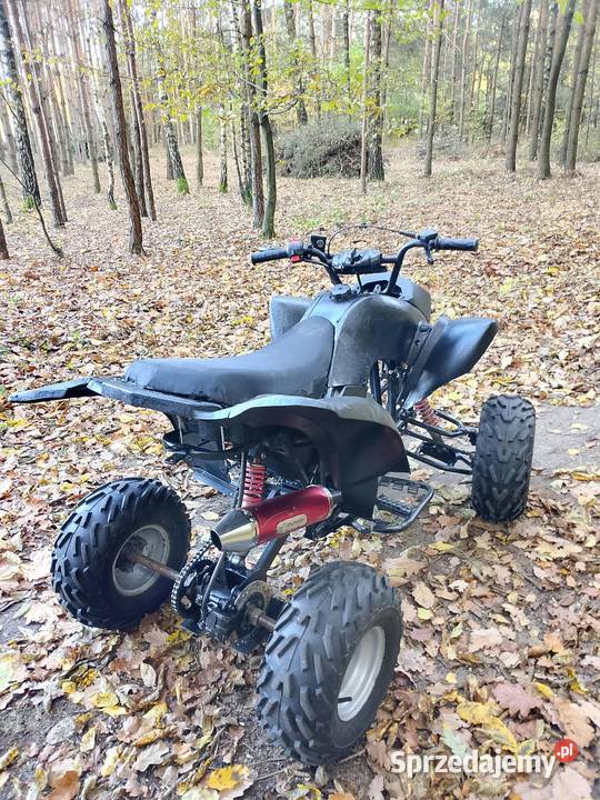 Quad Bashan 125 mat Lubartów