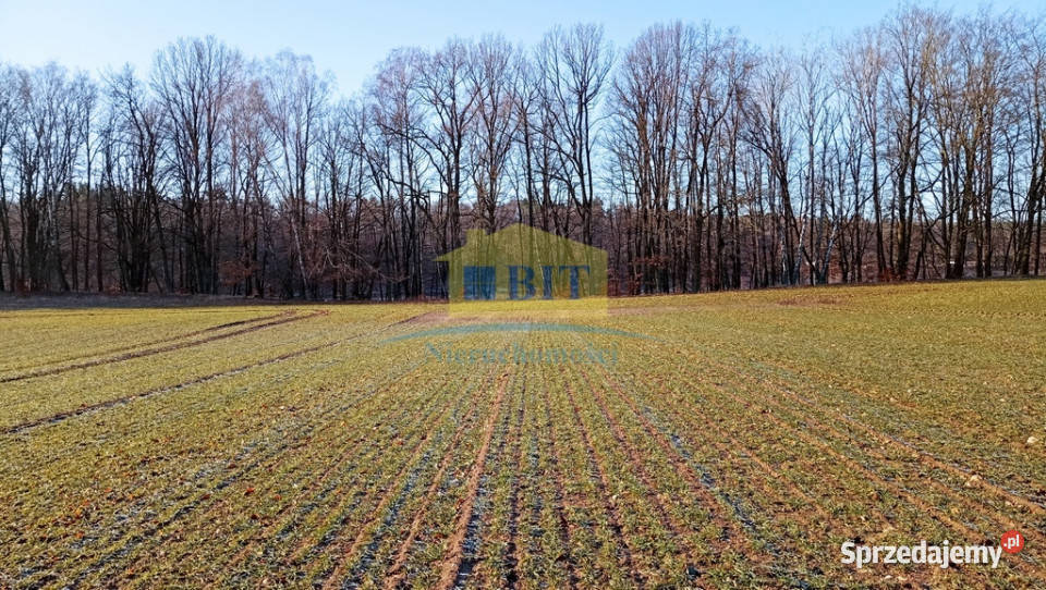 Działka 6066 m2 z dostępem do jeziora Kaleńsko Żelisławie