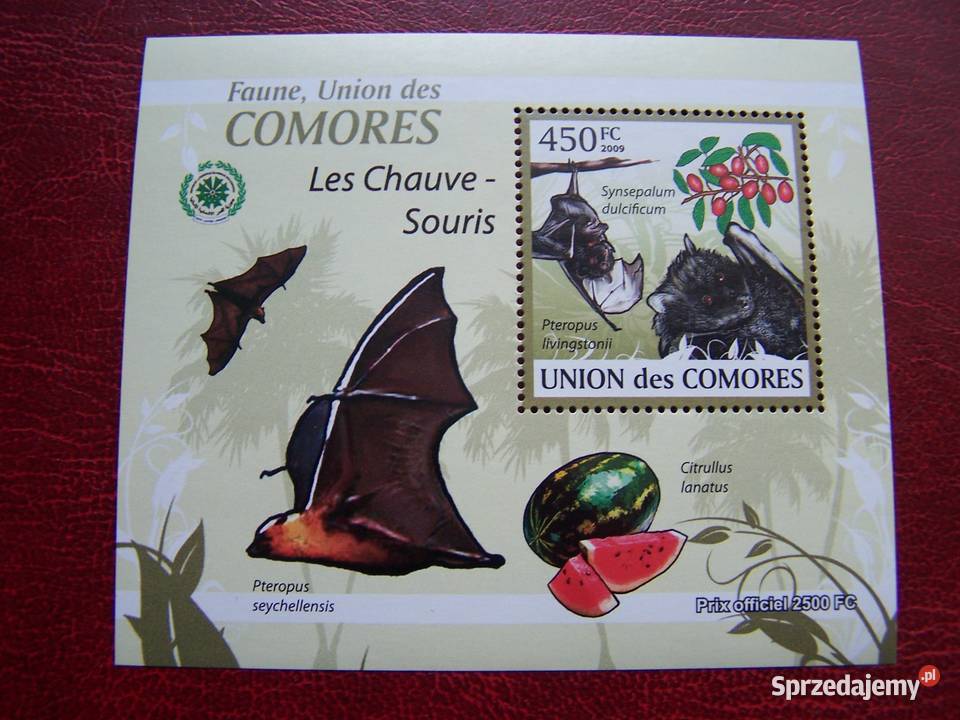 Komory 2009 MNH Fauna Nietoperze Nakład 2500 Tychy