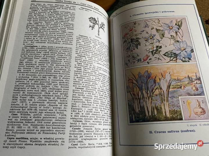 ENCYKLOPEDIA GUTENBERGA wydKurpisz