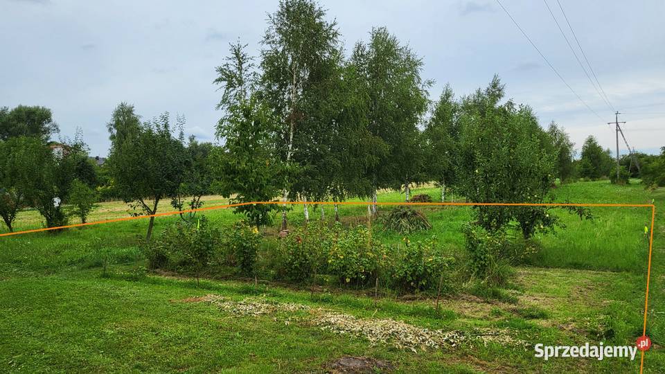 sprzedam działkę budowlaną w Osieku 41m Osiek