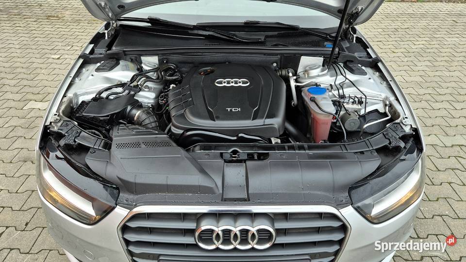 Audi A4 B8 Lift 20 TDi 136 Skóra Zarej w 136KM