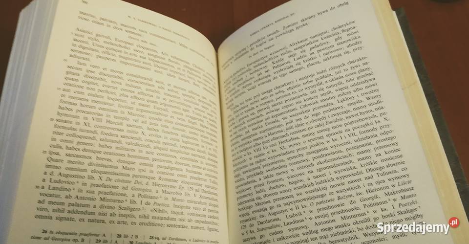 O poezji doskonałej czyli Wergiliusz i Homer Gdańsk sprzedam