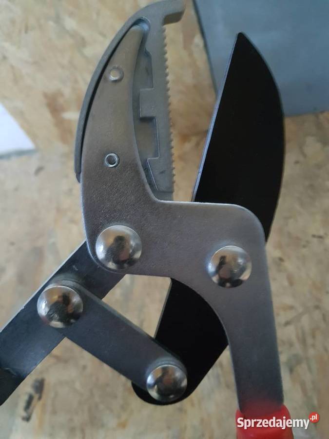 TELESKOPOWE NOŻYCE SEKATOR DO GAŁĘZI ŻYWOPŁOTU Głogowa