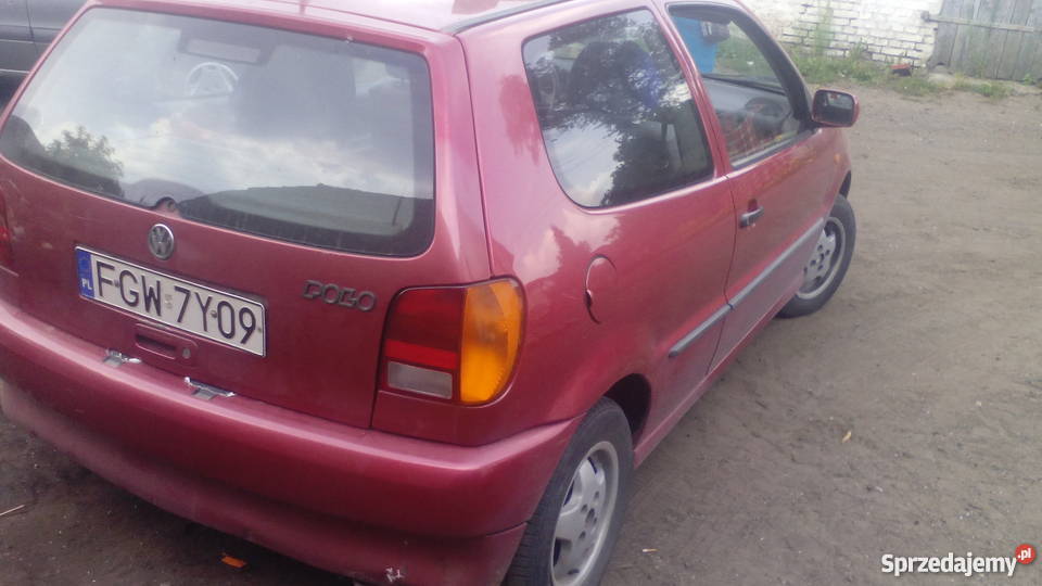 Ładna Polówka lubuskie Bogdaniec