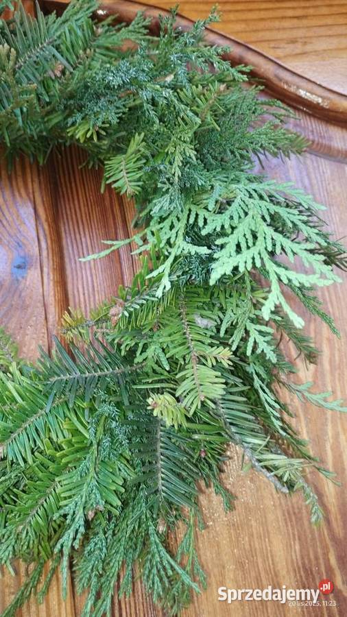 Wianek żywy podkład jodła thuja jałowiec 30 Koszyce