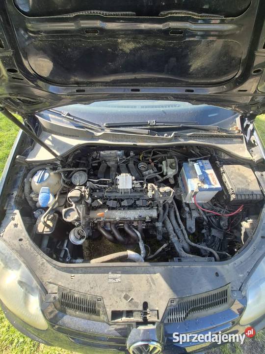 Vw Golf 5 16FSI 5 drzwi Brzeg sprzedam