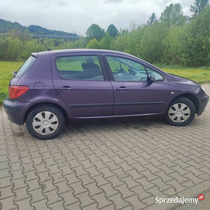 PEUGEOT 307 2005 251300 ZADBANY SPRAWNY 4/5 śląskie Cięcina sprzedam
