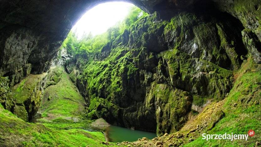 Geotour oferuje wycieczkę do Wiednia i śląskie