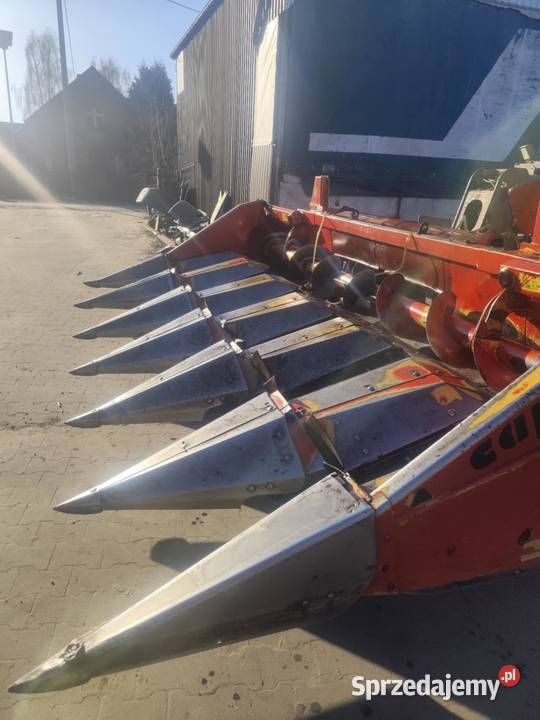 Capello 946 przystawka do kukurydzy wielkopolskie Ostrzeszów