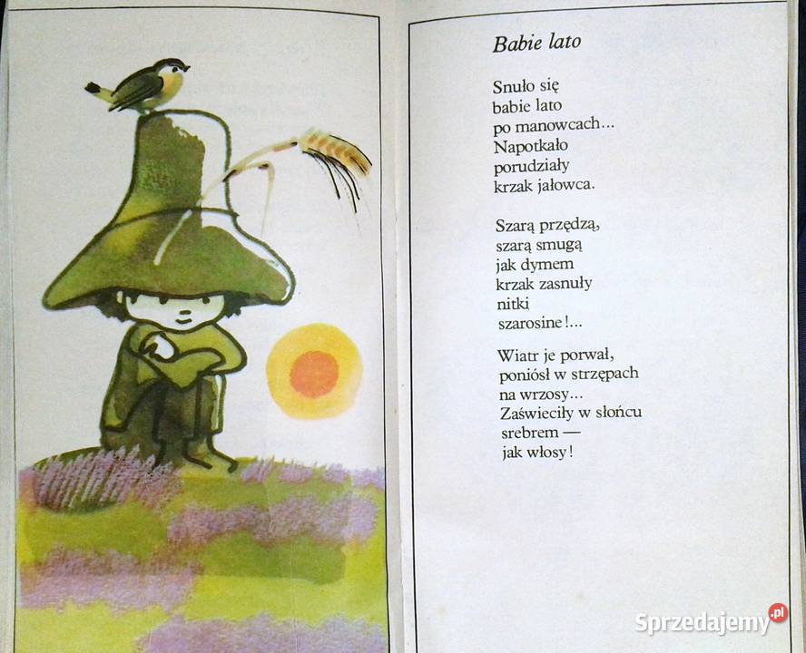 Złote bursztyny Halina Szayerowa Pozostałe Chełm